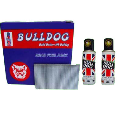 50mm Stainless Steel Straight Brad Nails - Pack of 2000 Finishing Nails with two Mini Gas Cells