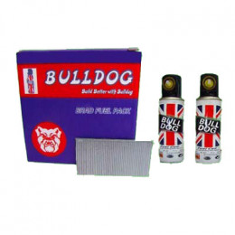 Pack of 2000 38mm Galvanized Straight Brad Finishing Nails and 2 Mini Gas Cells